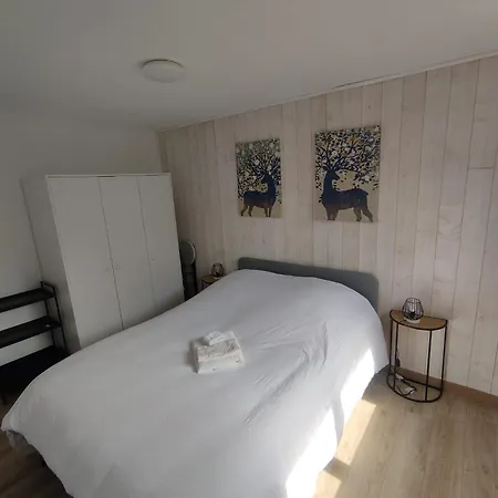 شقة Thilucha Le Thilu Alpe D'huez Gd Domaine A أليمونت