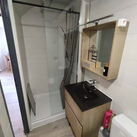 Apartment Thilucha Le Thilu Alpe D'huez Gd Domaine A *